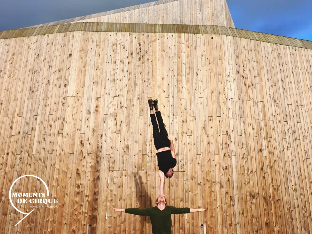 LES PETITS MOMENTS DE CIRQUE
